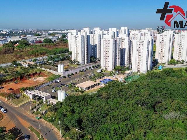 #DALIAS199 - Apartamento para Venda em Sumaré - SP - 1